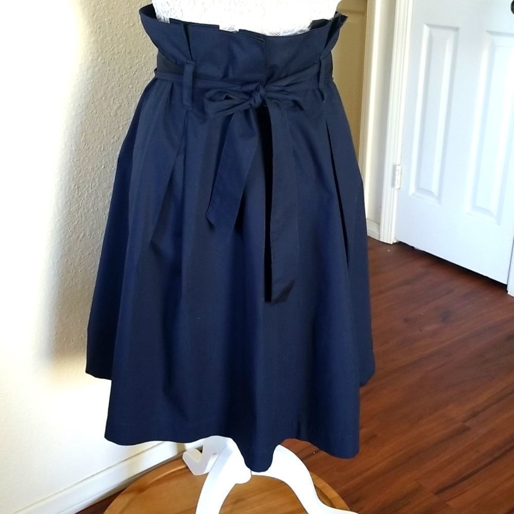 Banana Republic Pleated Skirt